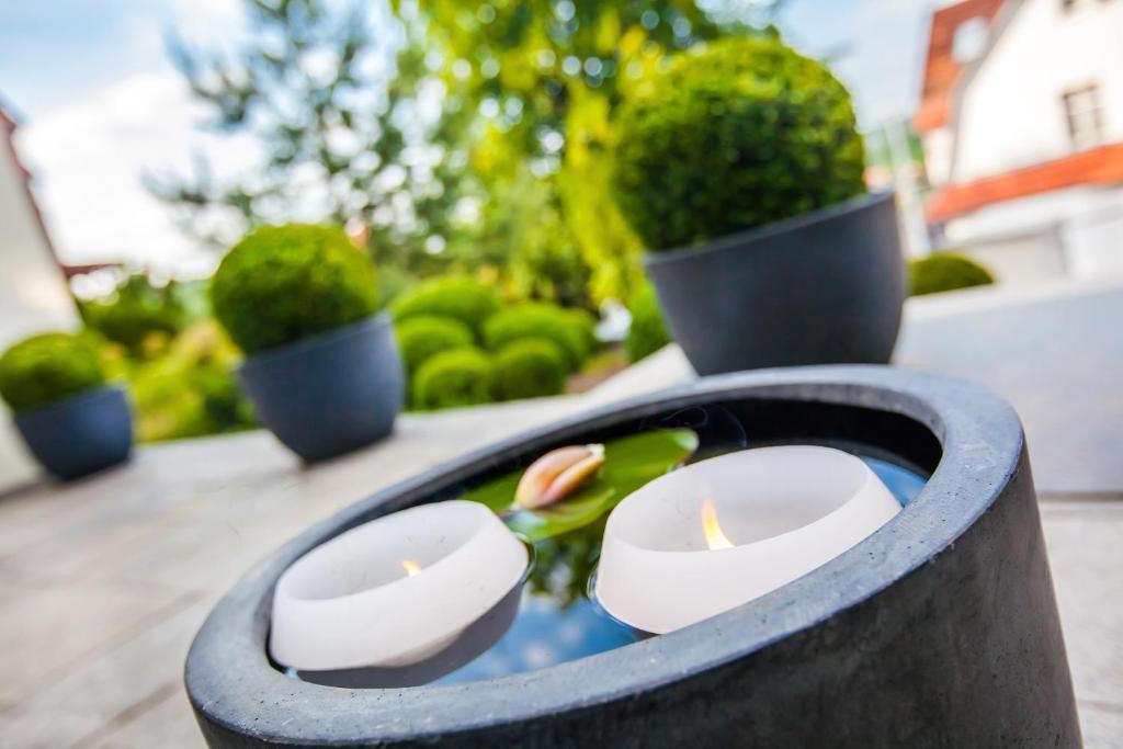 Boutique-Hotel Villa Anna Eisenach Kültér fotó