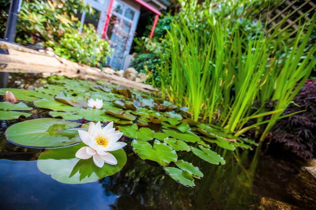 Boutique-Hotel Villa Anna Eisenach Kültér fotó