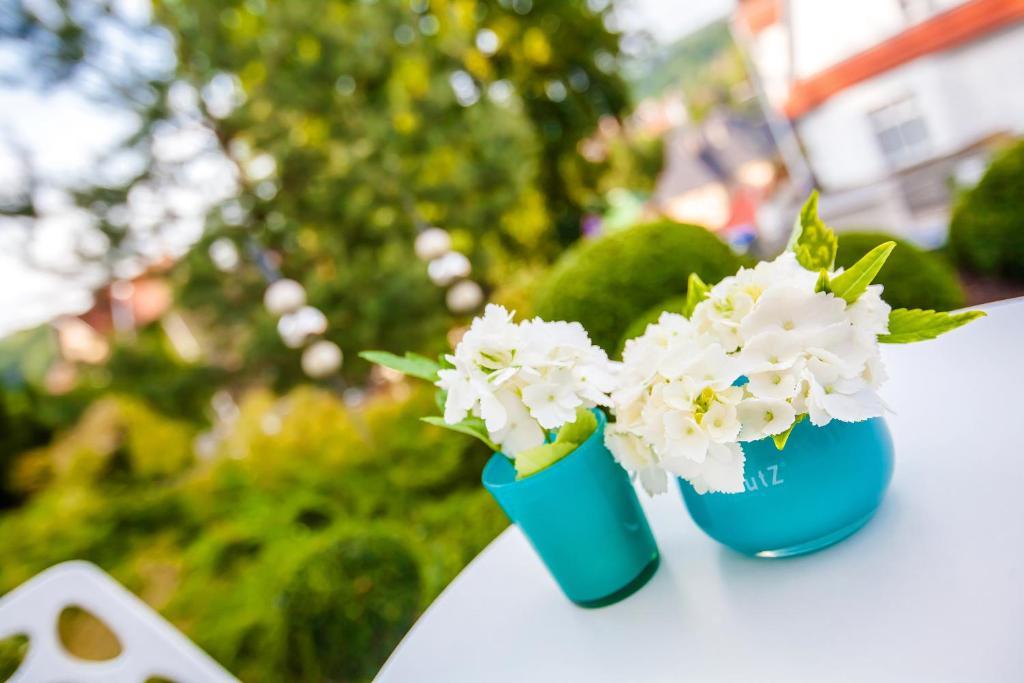 Boutique-Hotel Villa Anna Eisenach Kültér fotó